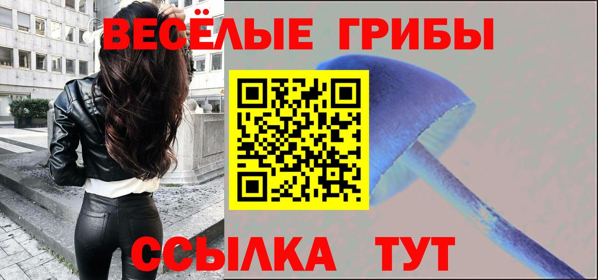 Галлюциногенные грибы мицелий Кудымкар