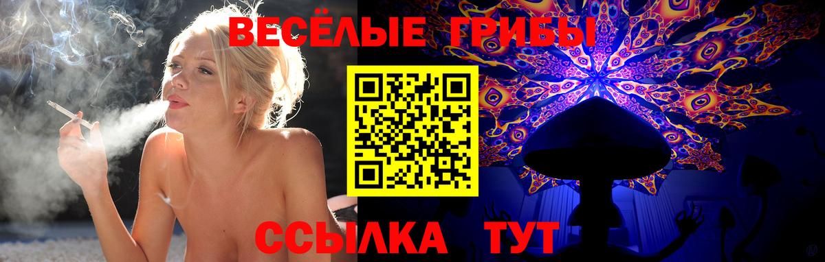 Кудымкар  Галлюциногенные грибы мицелий  Галлюциногенные грибы мухоморы  Вход с VPN 